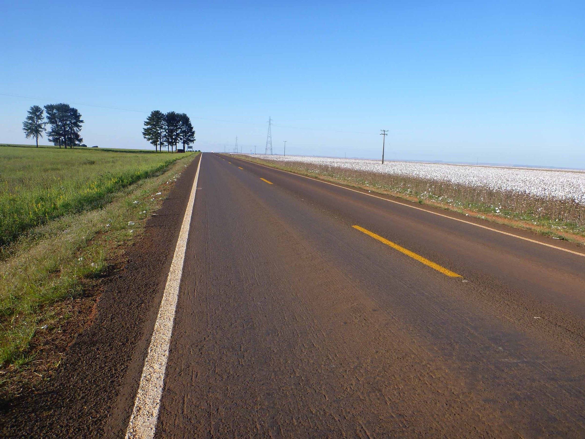 Rodovia BR-060 ao lado de lavoura de algodão em Mato Grosso do Sul